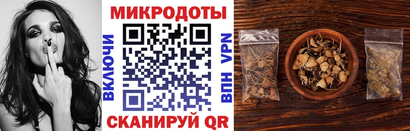 купить  цена  Североморск  Галлюциногенные грибы Psilocybe 