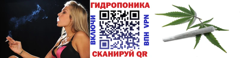 что такое   Североморск  Каннабис VHQ 